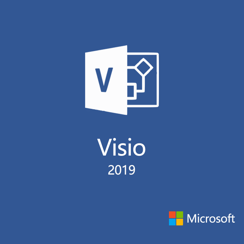 Visio Professional 2019正規永続版カード 2枚セット